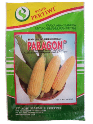 BENIH PERTIWI JAGUNG MANIS PARAGON